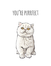Load image into Gallery viewer, You're Purrfect