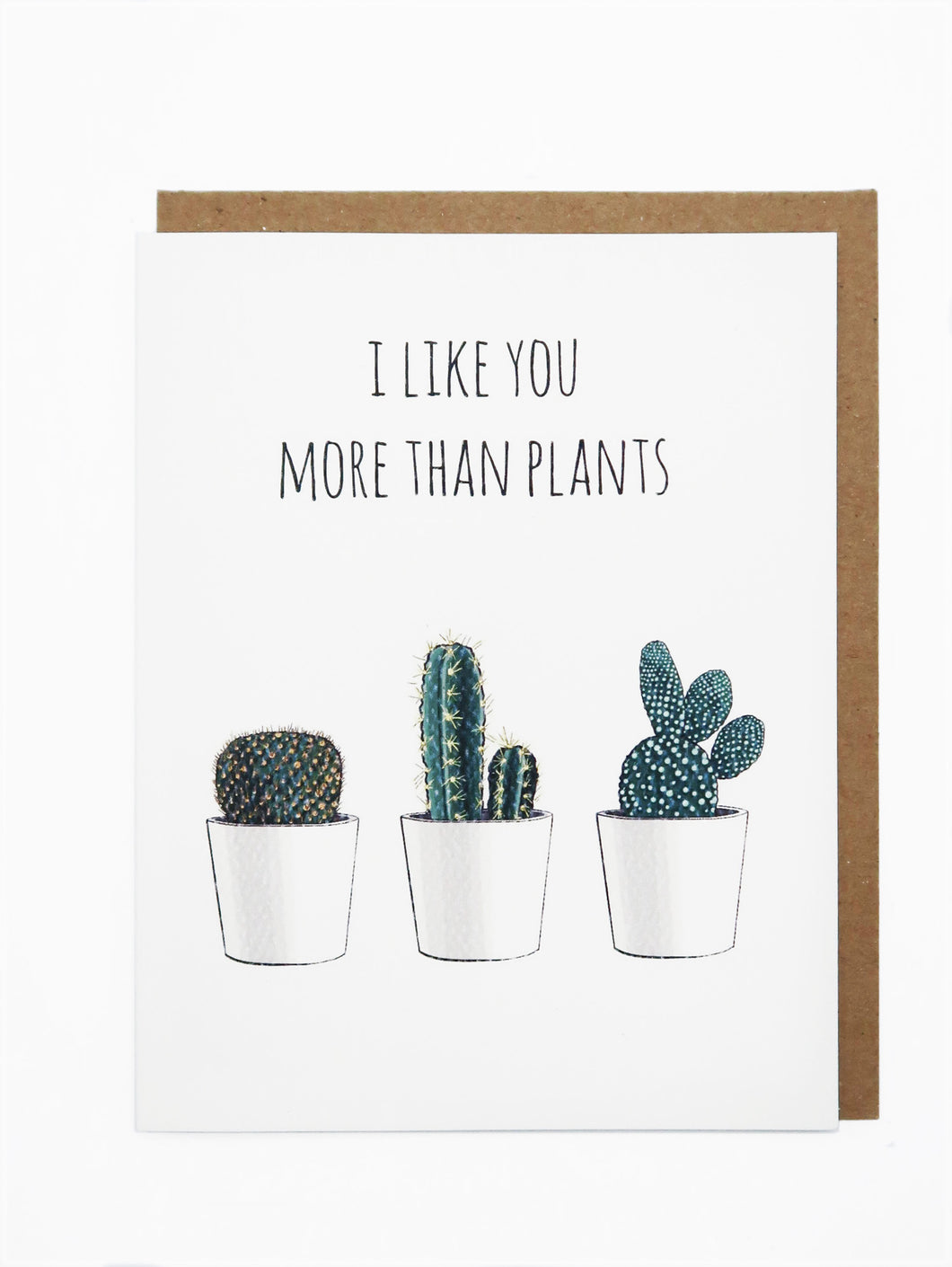 I Like You More Than Plants